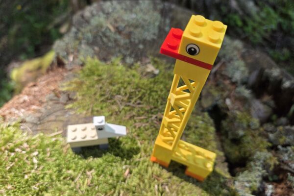 Sag's mit LEGO® - Gewaltfreie Kommunikation im Alltag · Sargans · 31.10.2025 – Bild 4