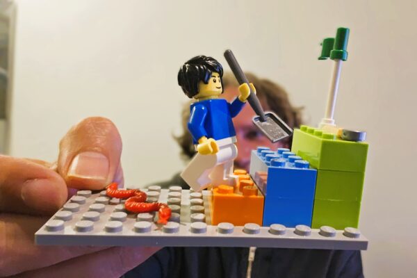 Online Session mit LEGO® SERIOUS PLAY® - Schweiz